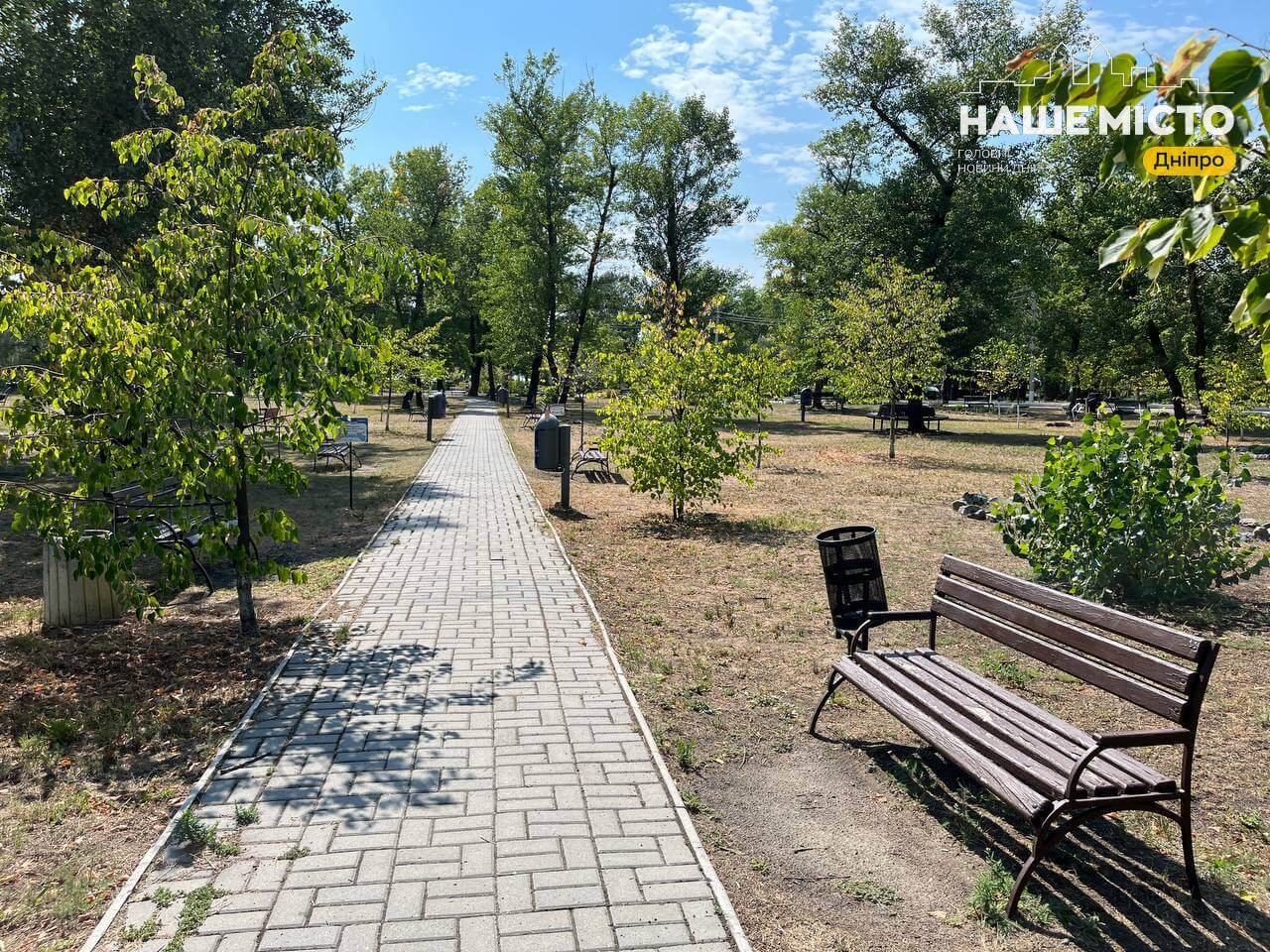 Літні розваги у парку Сагайдак: відпочинок дніпрян біля Воронцовського пляжу