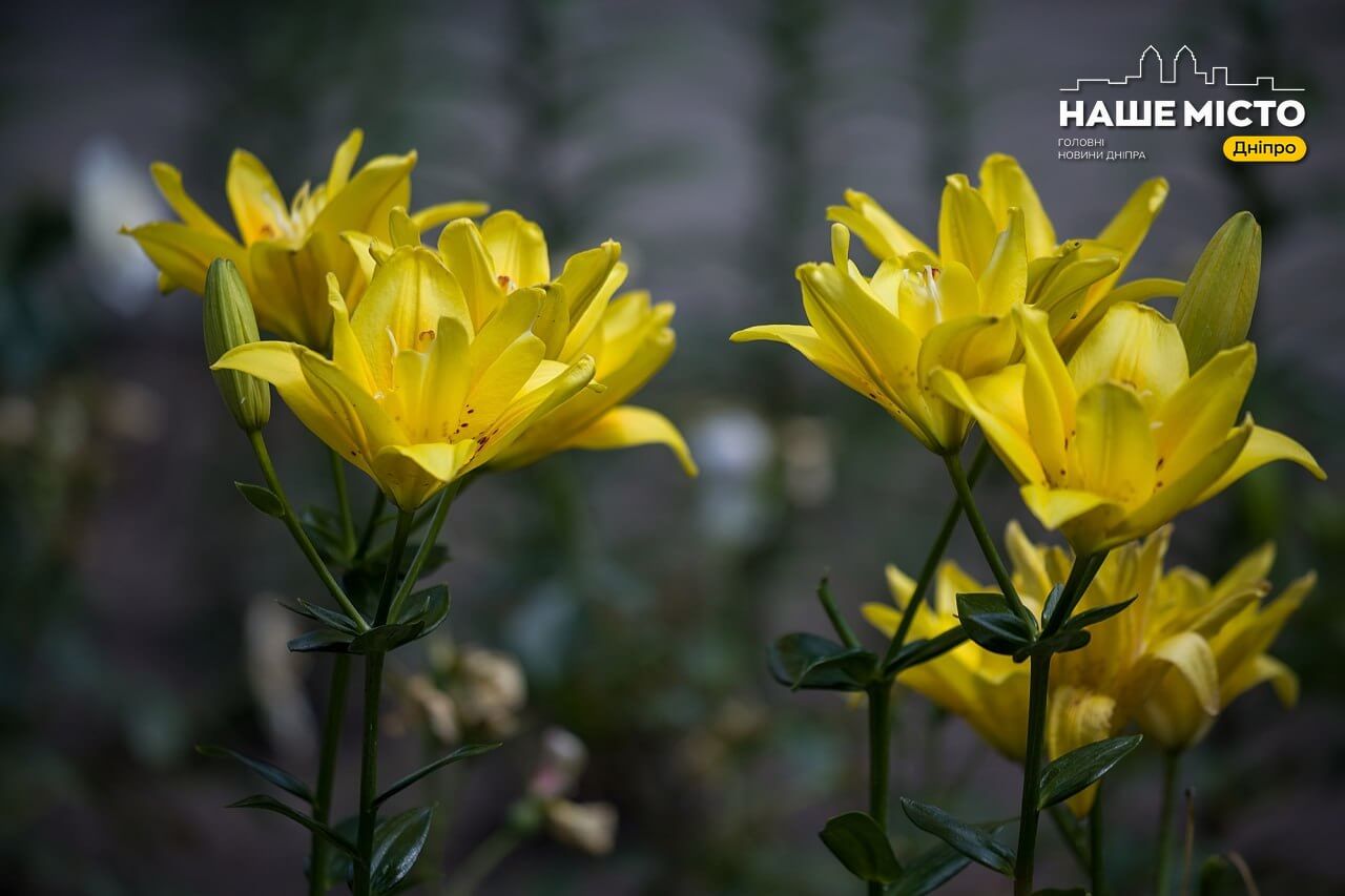 18 липня: традиції, значущі свята та народні прикмети