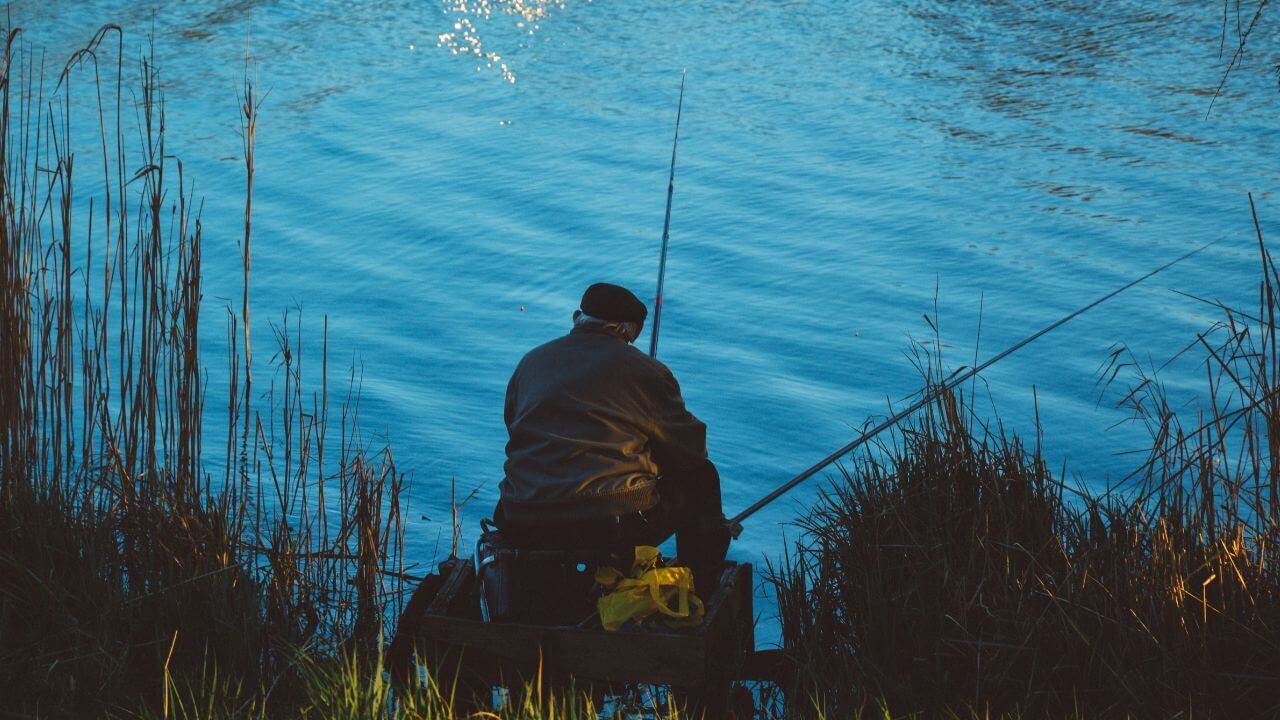 Штраф за вилов кефалі: нові правила для рибалок