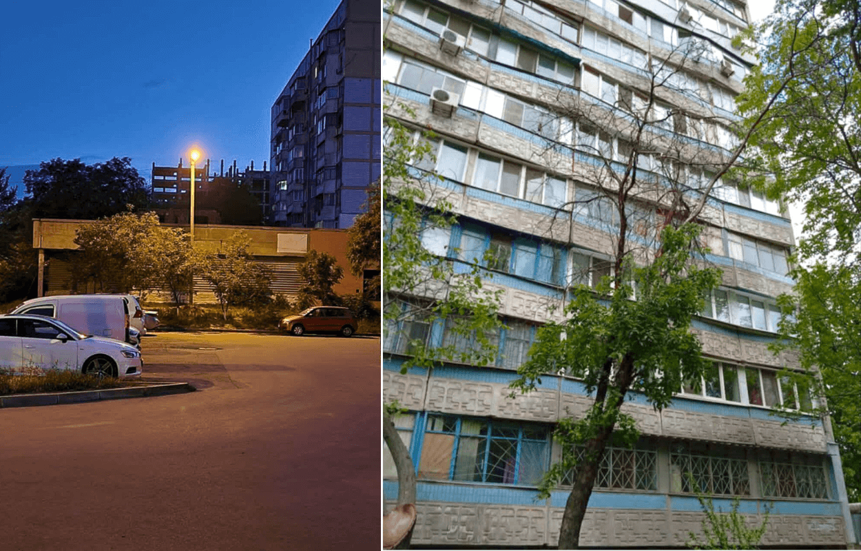 Очищення Дніпра: як місто бореться з аварійними деревами та сміттям