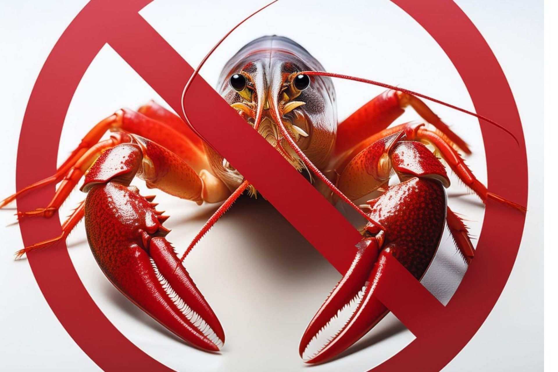 Заборона на вилов раків на Дніпропетровщині: що важливо знати