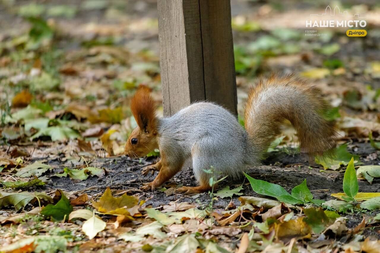 Теплий жовтень 2025: коли чекати на спад температури