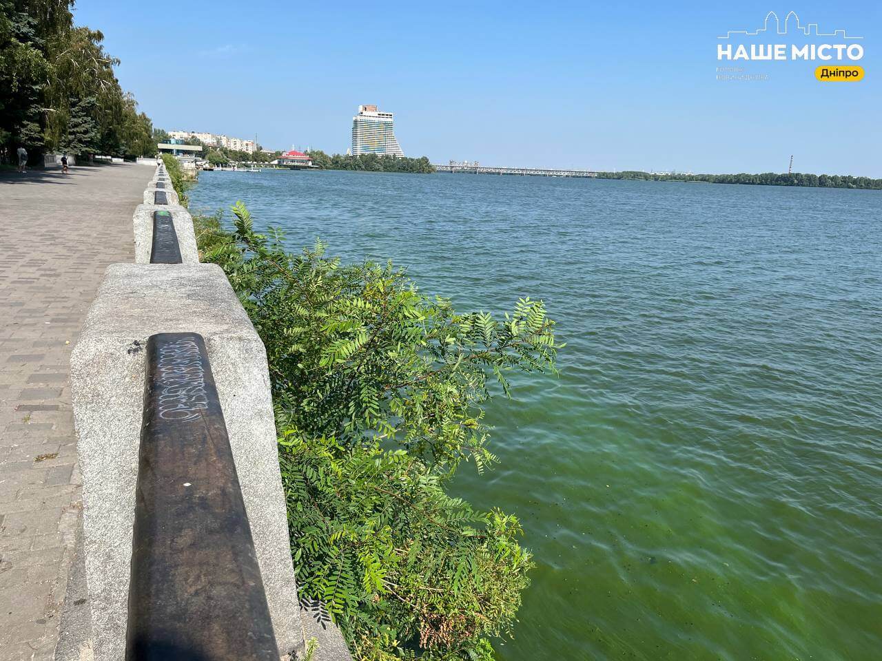 Купання у Дніпрі небезпечне: річка покрита водоростями