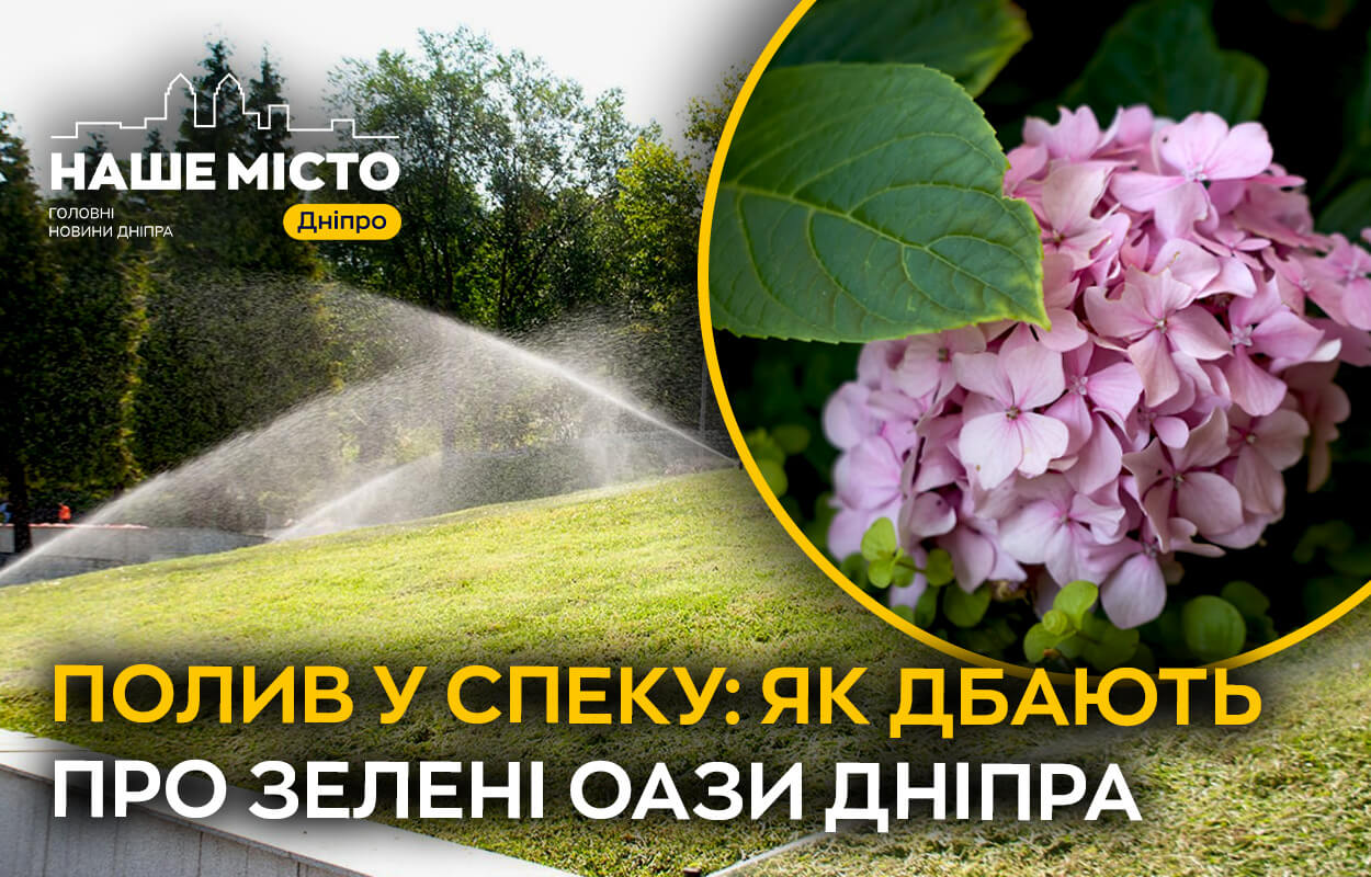 Як дніпряни захищають рослинність від літньої спеки