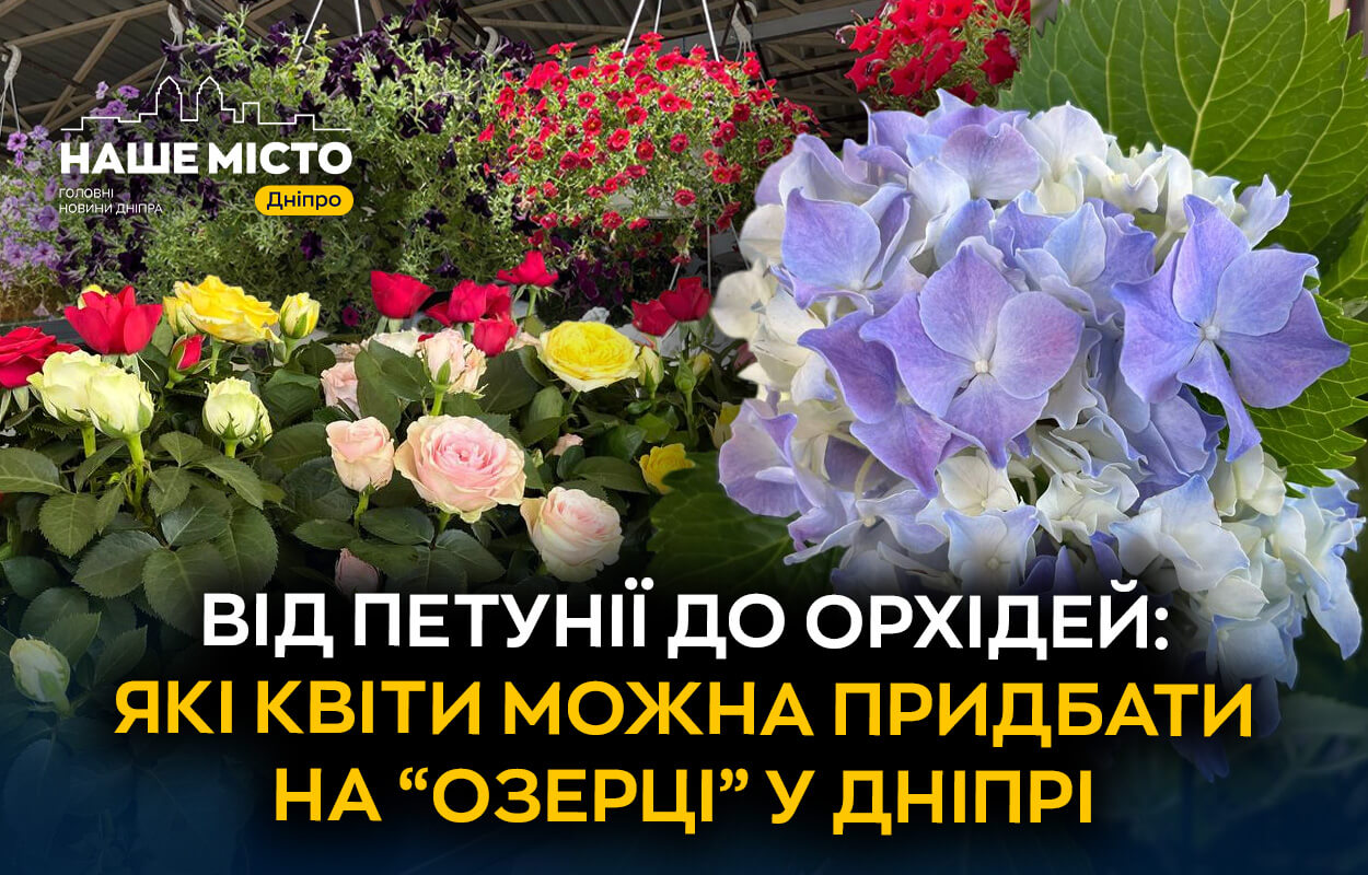 Розмаїття квітів на ринку «Озерка» у Дніпрі