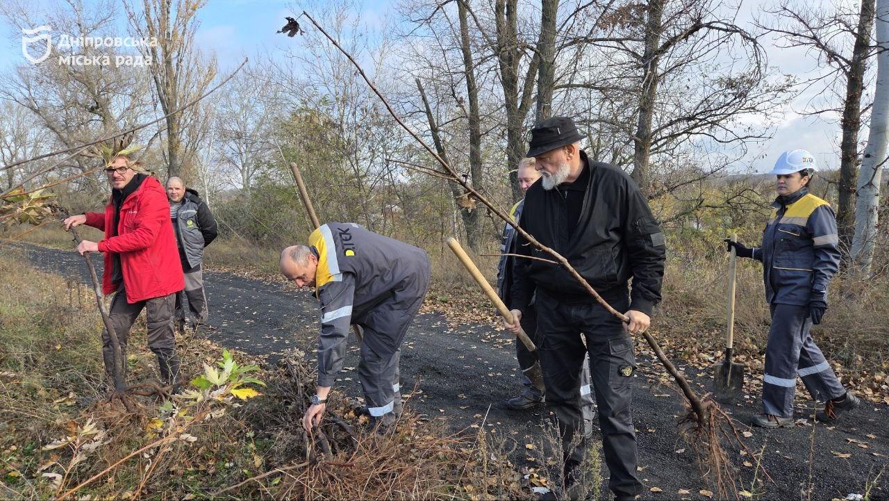 У Дніпрі висаджено 300 молодих кленів під егідою акції #Дніпро_квітучий