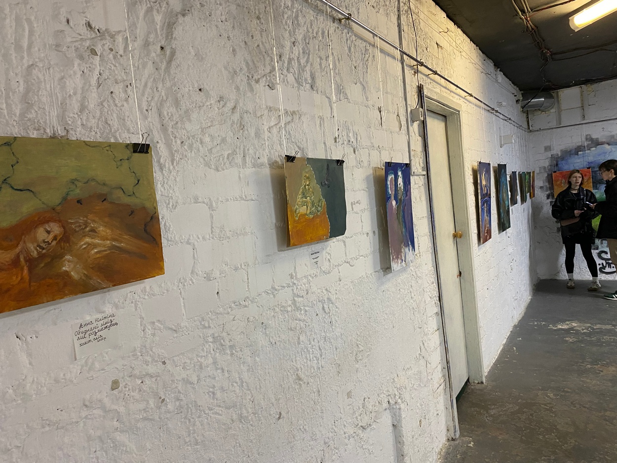 Анна Нікітіна представила унікальну виставку у Дніпрі