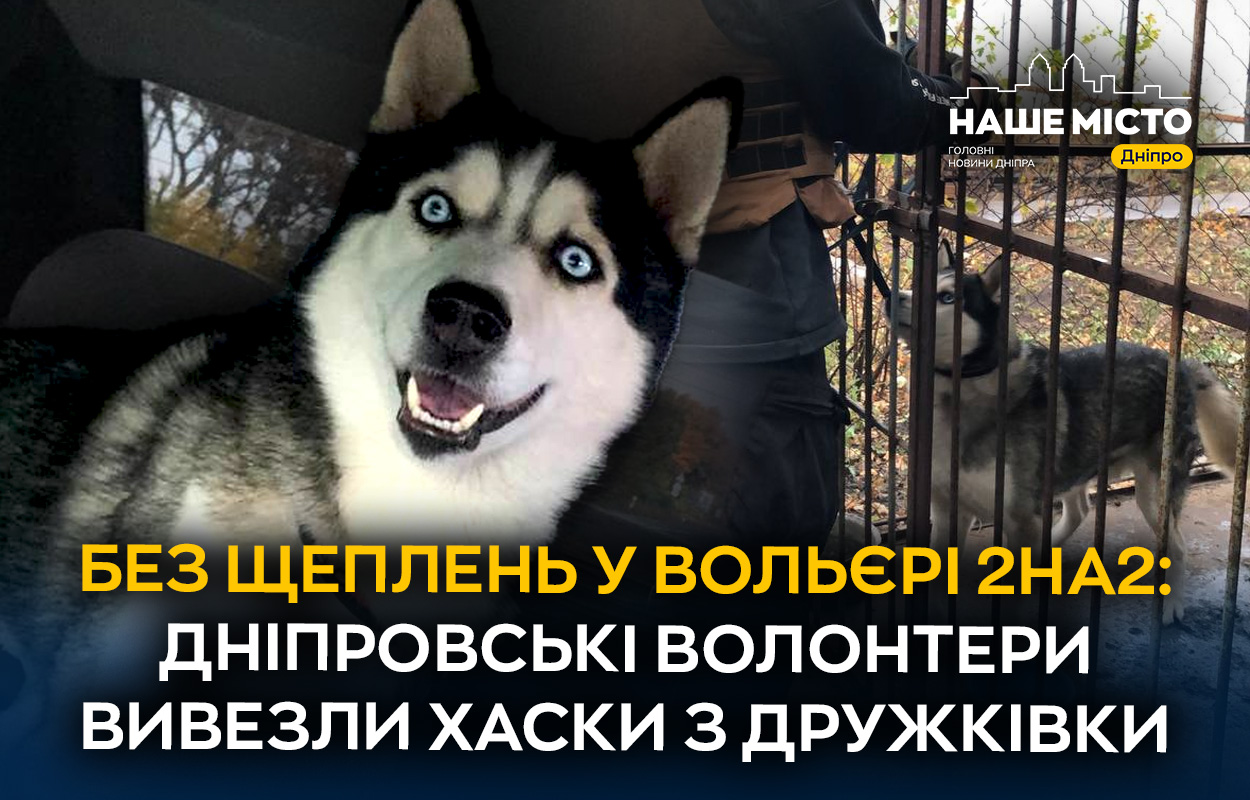 Дніпровські волонтери евакуювали хаскі з прифронтової Дружківки