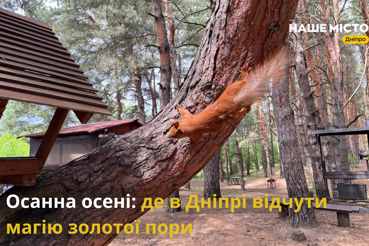 Куди піти в Дніпрі, щоб насолодитись осінню: гайд для мешканців