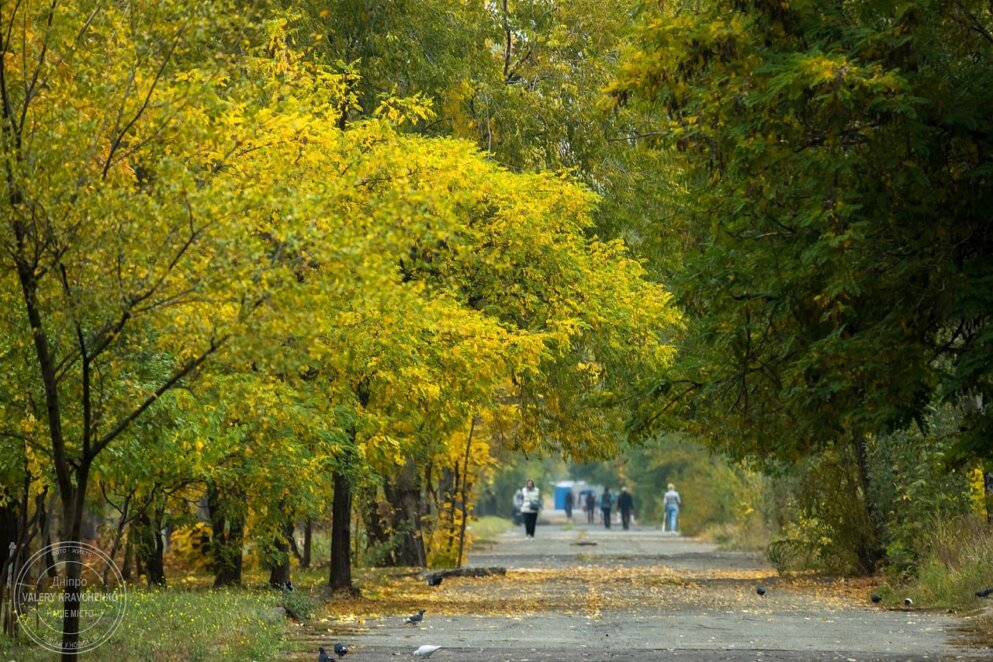 Дощовий старт тижня: погода 31 жовтня в Україні