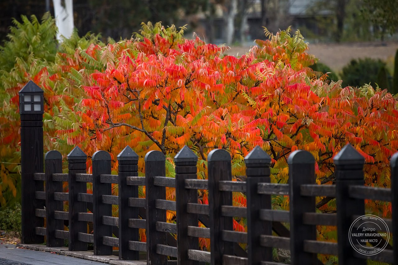 Дніпро: ніч під сигналами тривоги, обстрілів не було
