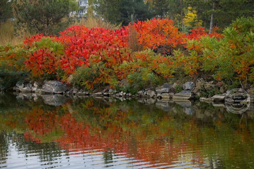 Зміна погоди в Дніпрі: на місто насувається атмосферний фронт