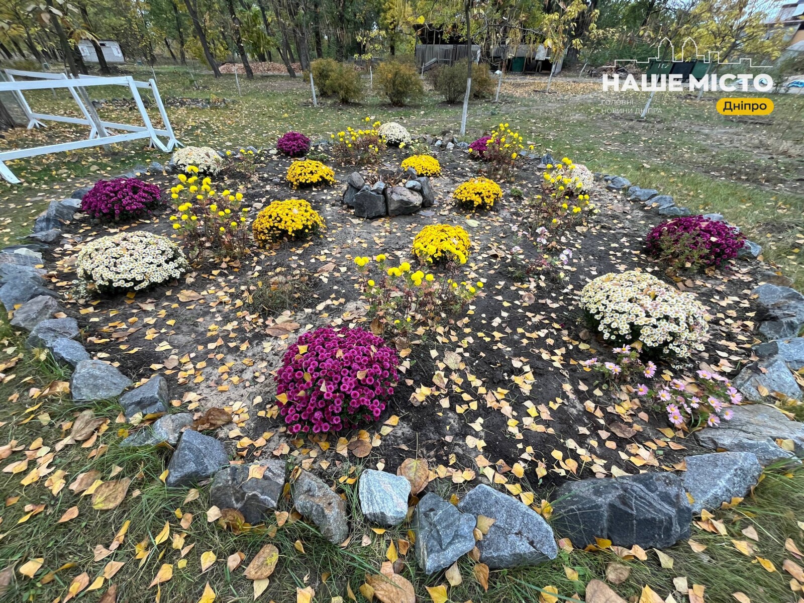 У Парку Сагайдак озеленили простір: лавандове поле та клумби з хризантемами