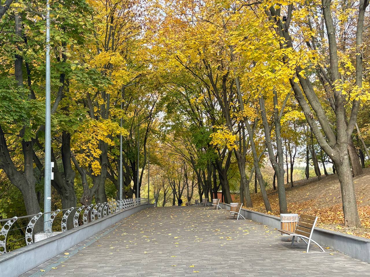 Осінній колорит Дніпра: чари Зеленого Гаю та парку Писаржевського