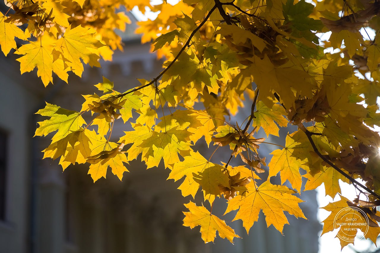 Традиції та прикмети 31 жовтня: що слід знати