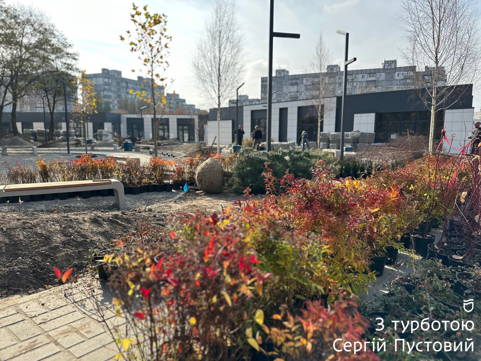 Новий оазис зелені на Лівобережному-3 у Дніпрі