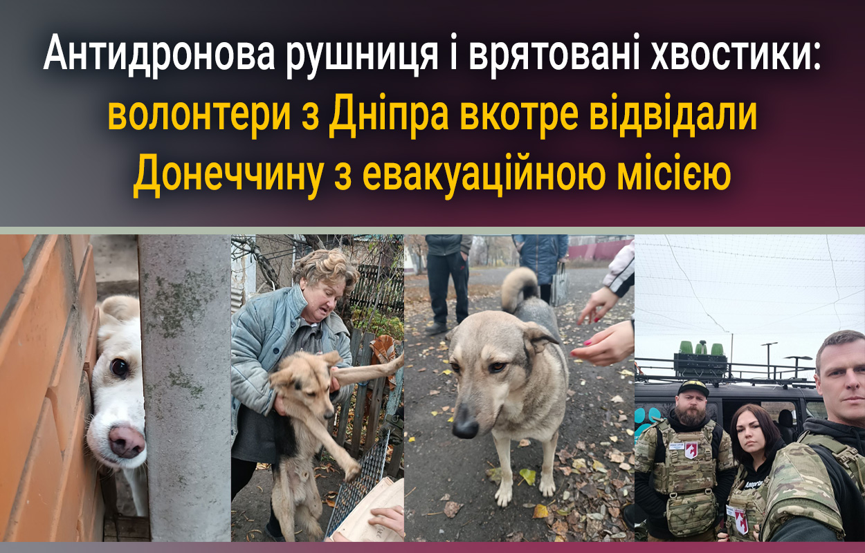 Волонтери з Дніпра доставили тварин із Донеччини: з антидроновою рушницею на борту
