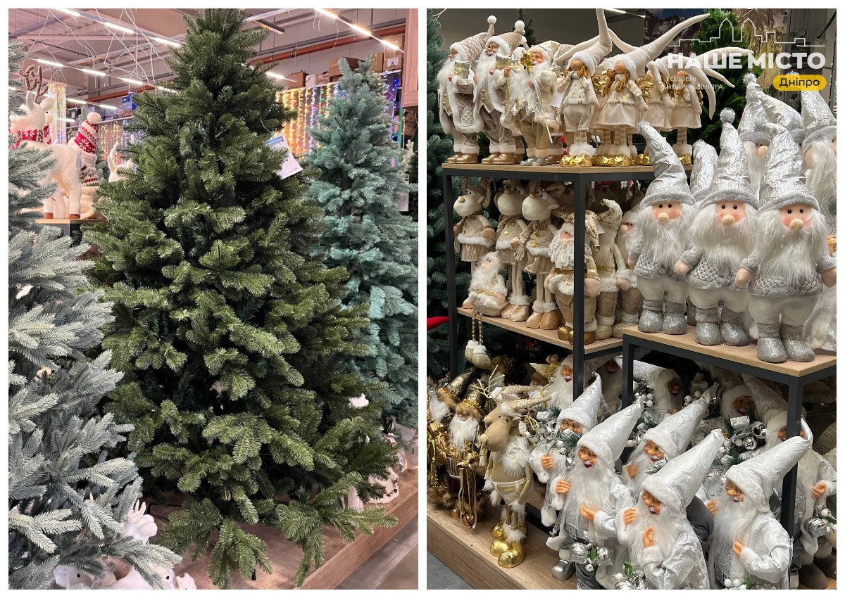 Ялинковий сезон у Дніпрі: ціни та асортимент