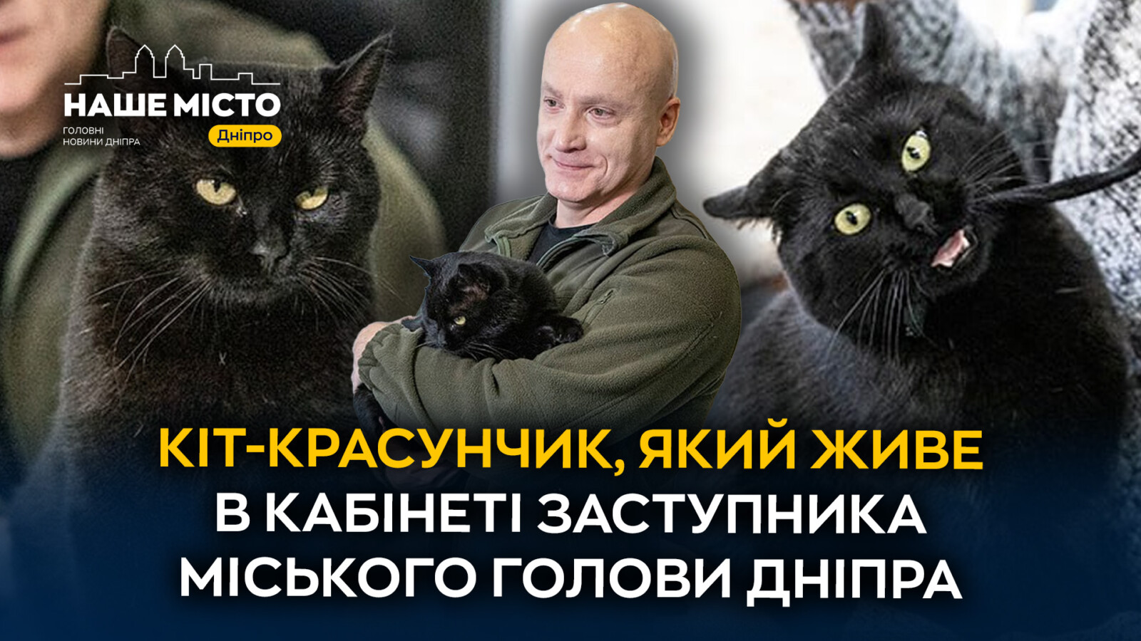 Кот-муркотун живе в кабінеті заступника мера Дніпра