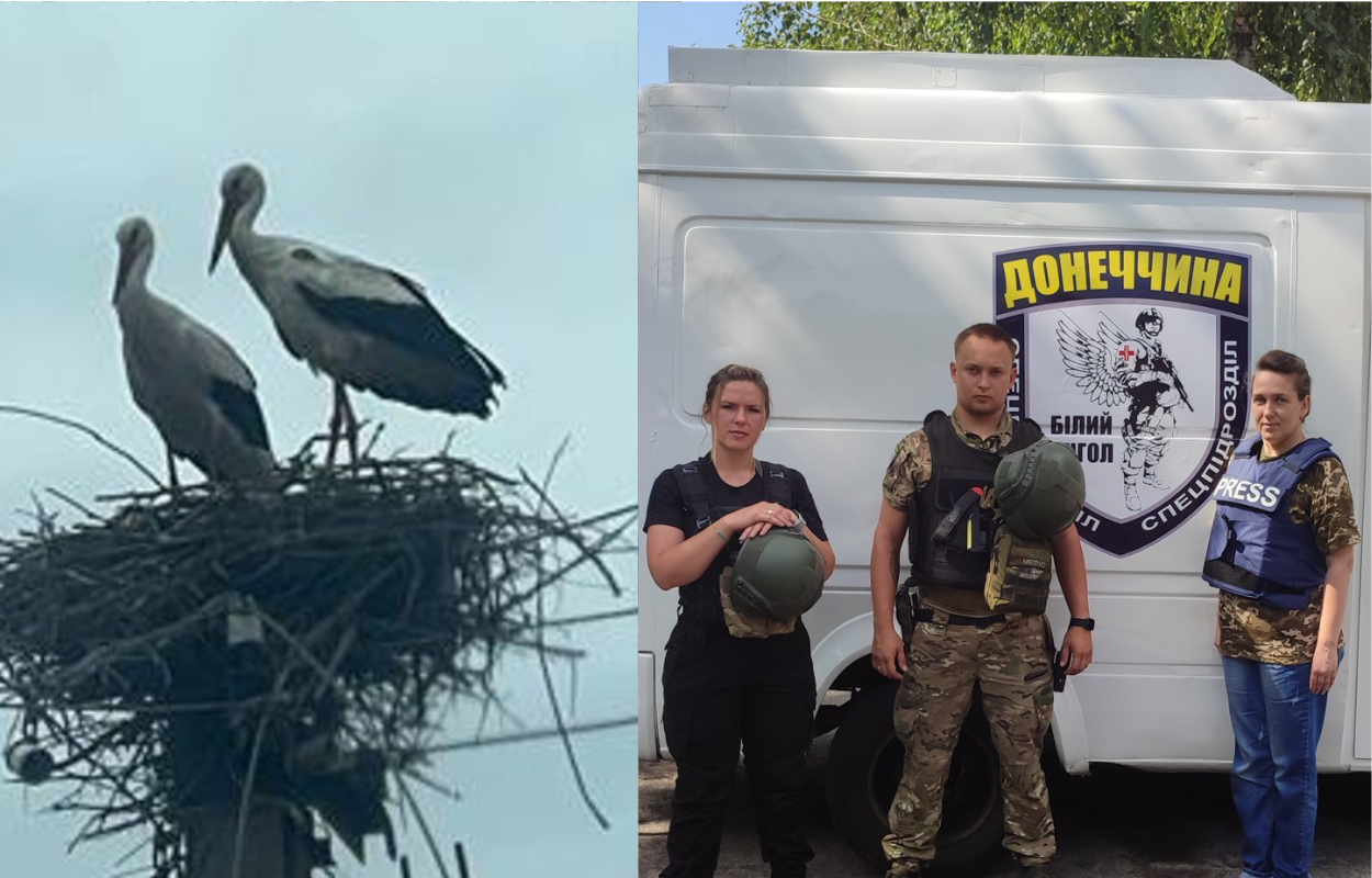 Лелеки повернулися до зони бойових дій: символ надії в Торському