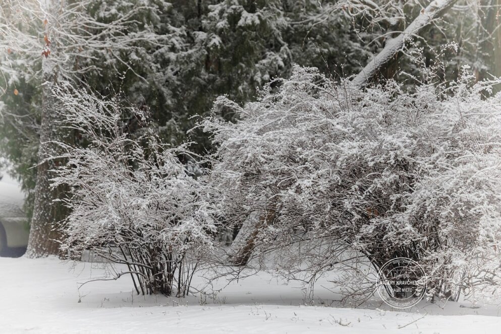Грудень принесе Україні хуртовини та сильні вітри