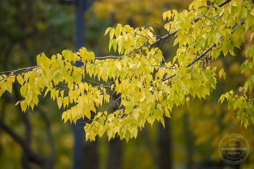 12 листопада - традиції та заборони в день Св. Йосафата