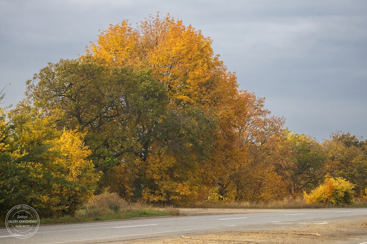 Ніч в Дніпрі пройшла спокійно: не зафіксовано тривог