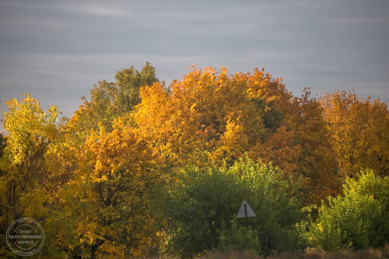 Тепле бабине літо: Україну огортає осіннє тепло