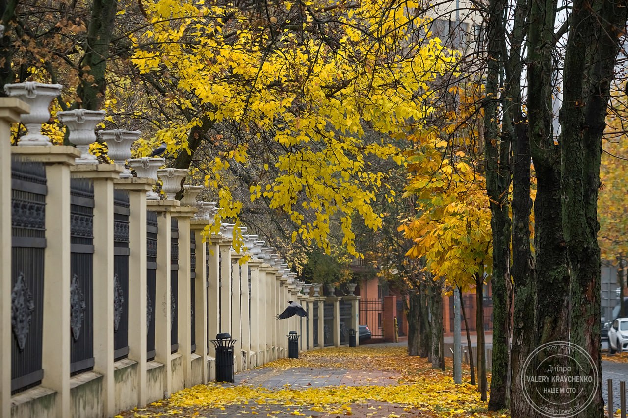 Погода у Дніпрі: відчутне потепління 27 листопада
