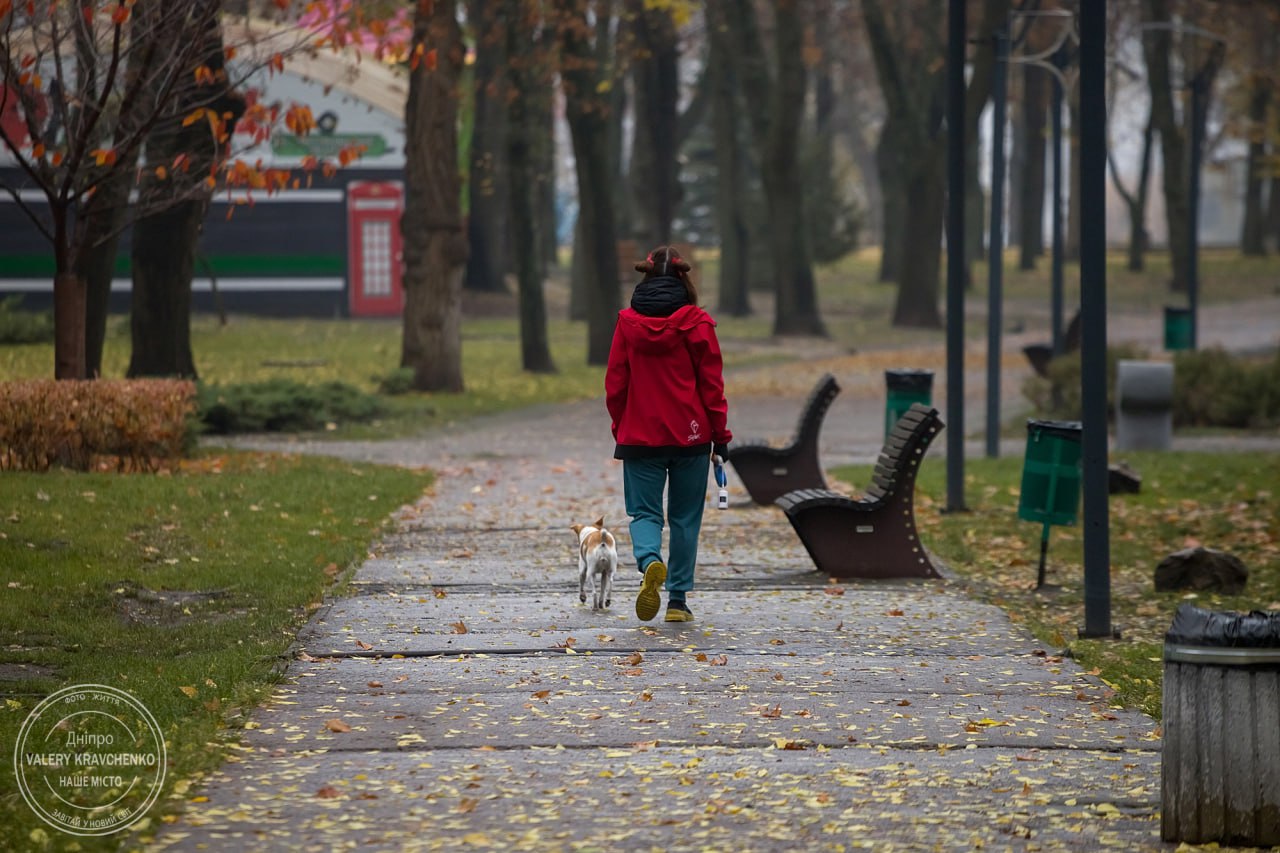 Сніг і ожеледиця: негода атакує Західну Україну