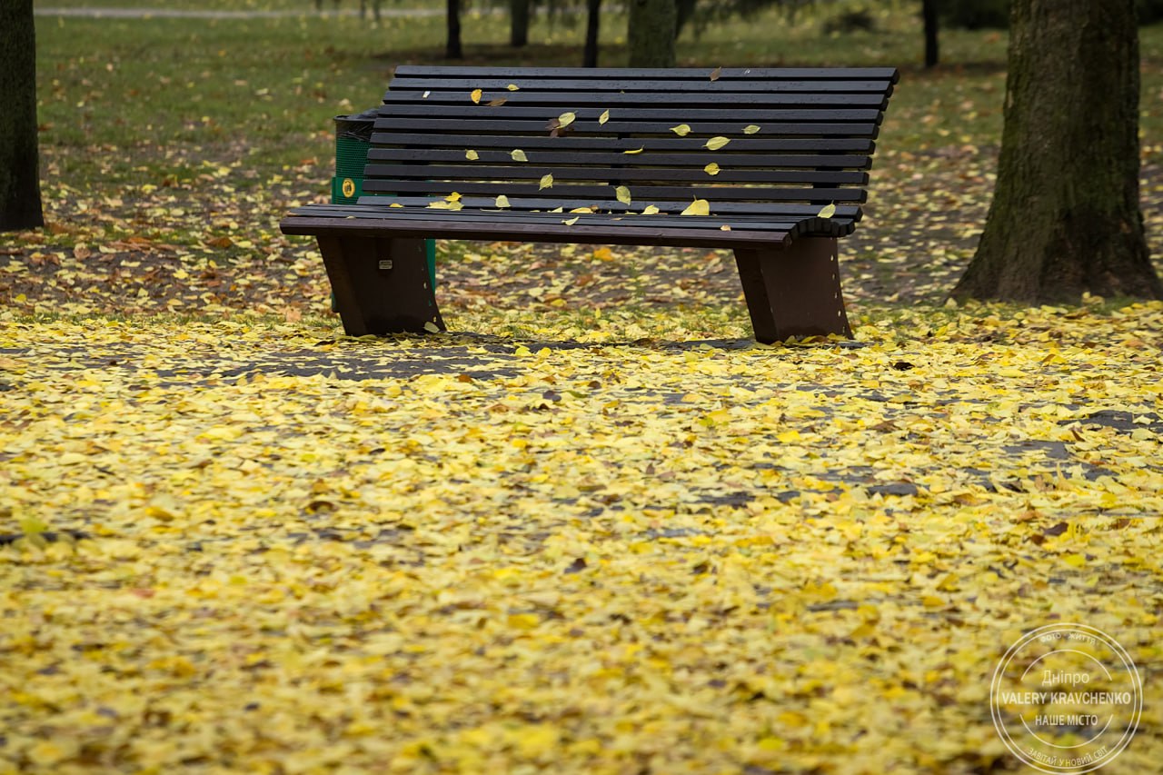 Чого чекати від погоди в останній тиждень осені?