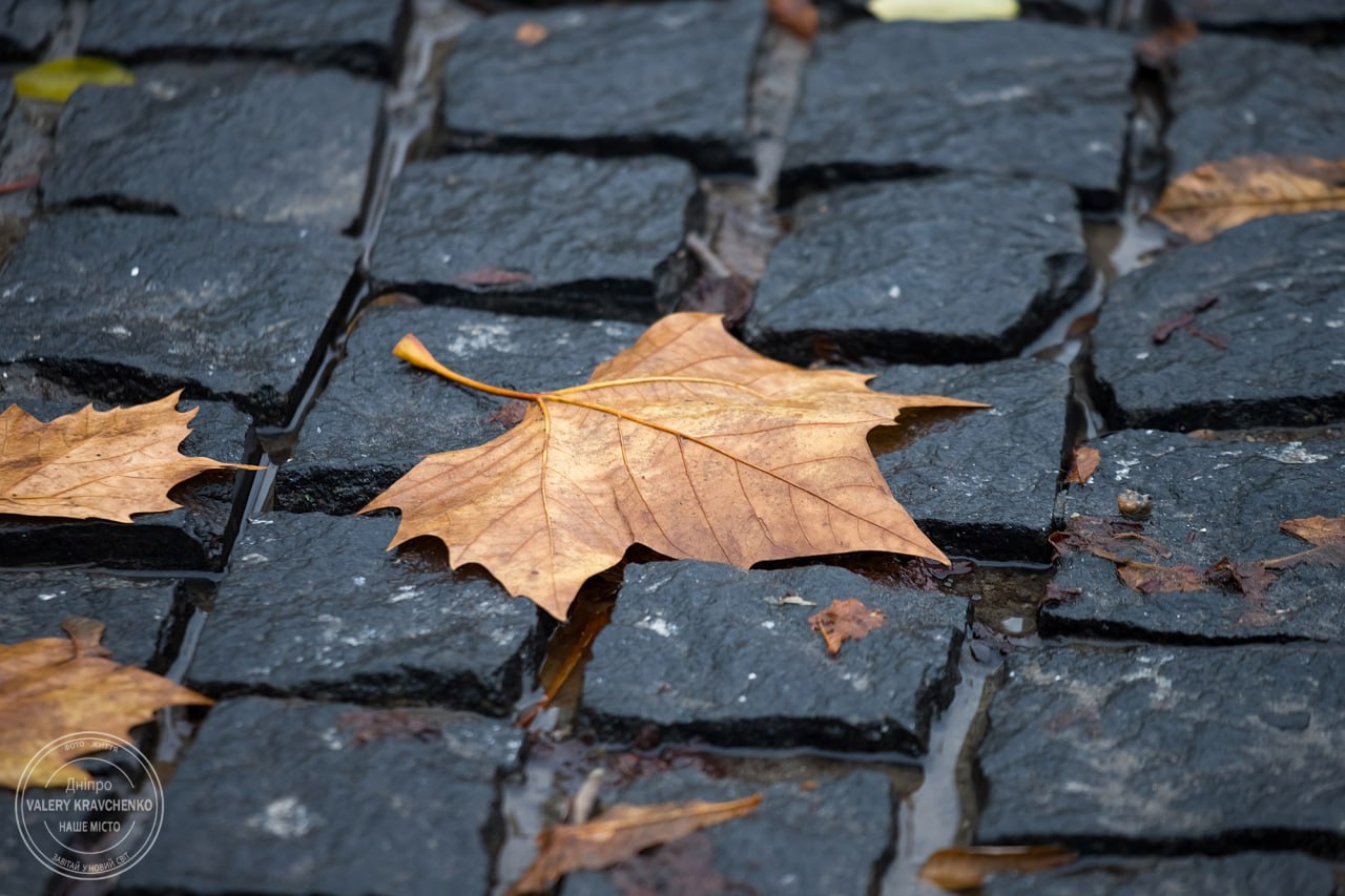 26 листопада — день Аліпія Стовпника: традиції та прикмети