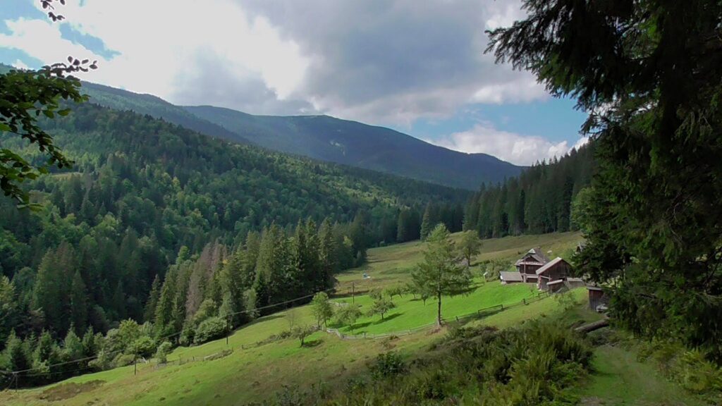 Оглядові гойдалки з видом на Карпати: кращі місця для насолоди пейзажами
