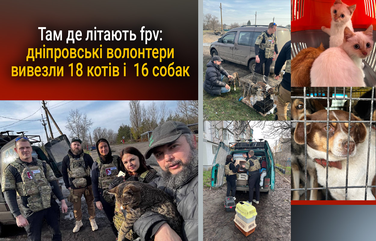 Дніпровські волонтери врятували 34 тварини зони бойових дій