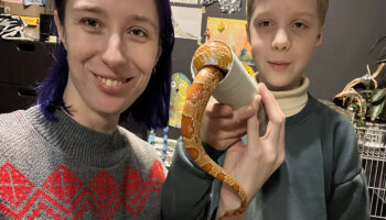 Змії як антистрес: дніпряни обирають незвичайних улюбленців