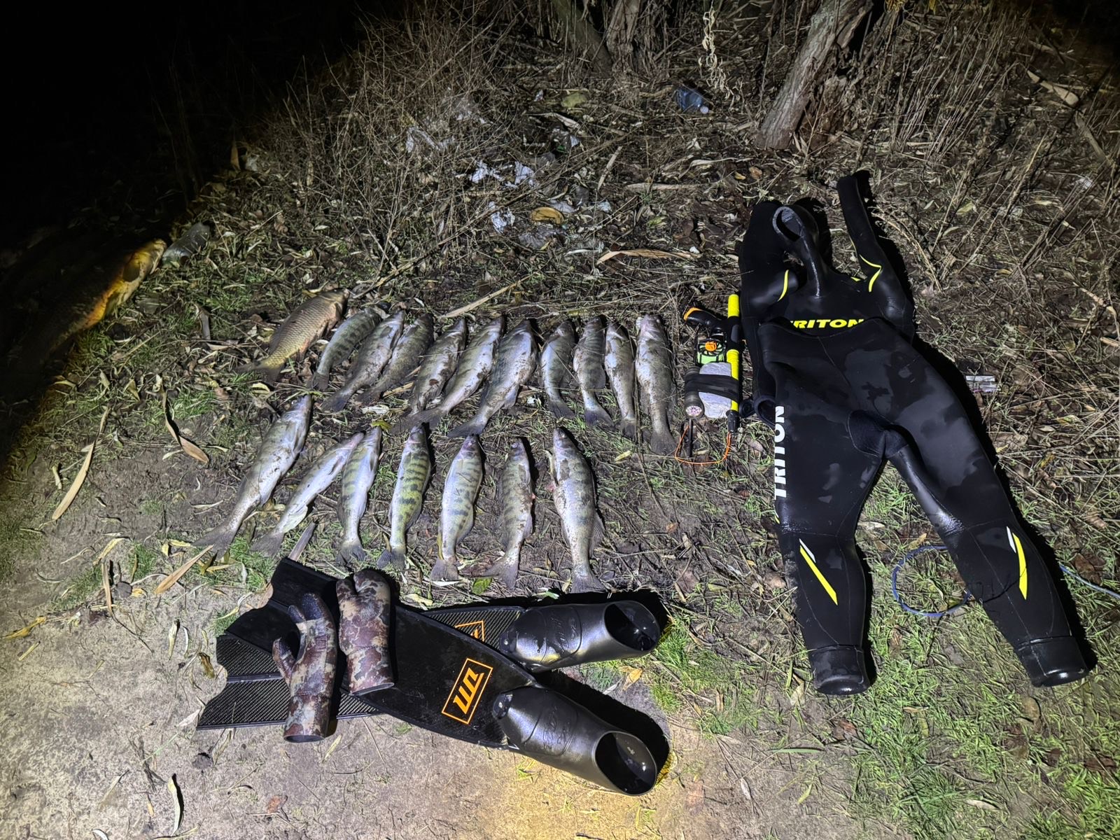 На Самарі впіймано браконьєрів з великим уловом