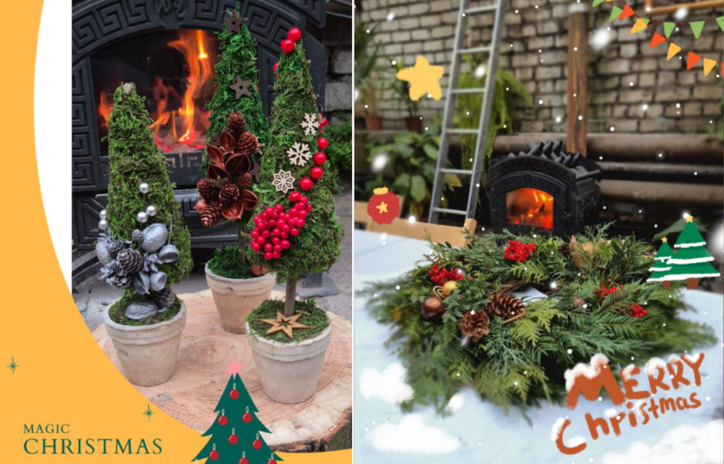 Ботсад ДНУ запрошує на святкові майстер-класи та прогулянки