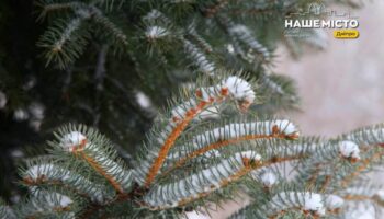 17 грудня: день пророка Даниїла і народні традиції