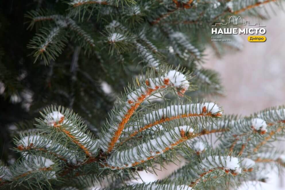 17 грудня: день пророка Даниїла і народні традиції