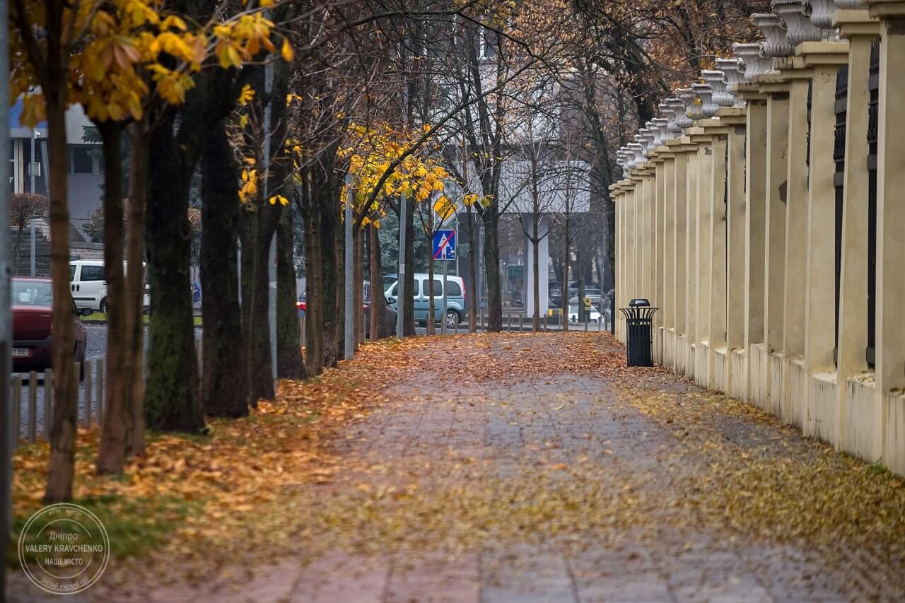 Погода в Україні 2 грудня: дощі та туман