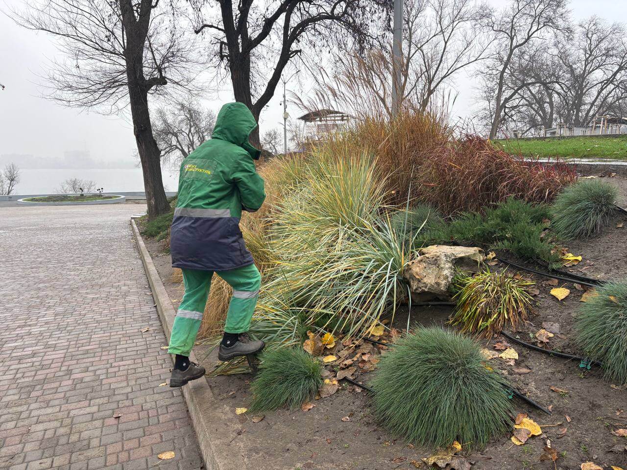 Дніпро готує зелені зони до зими