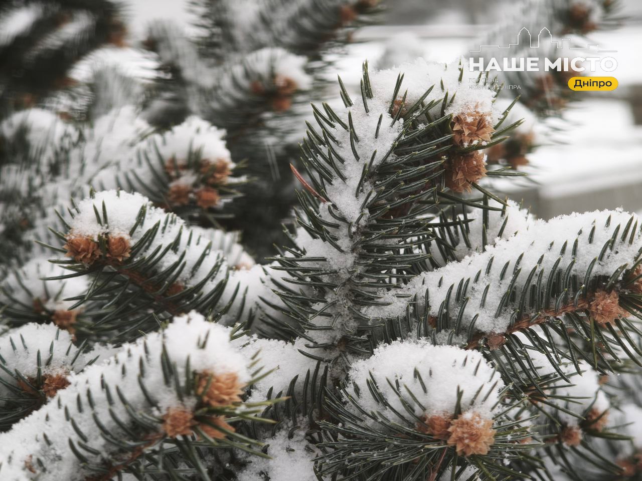 День пам’яті святих немовлят і народні прикмети 29 грудня