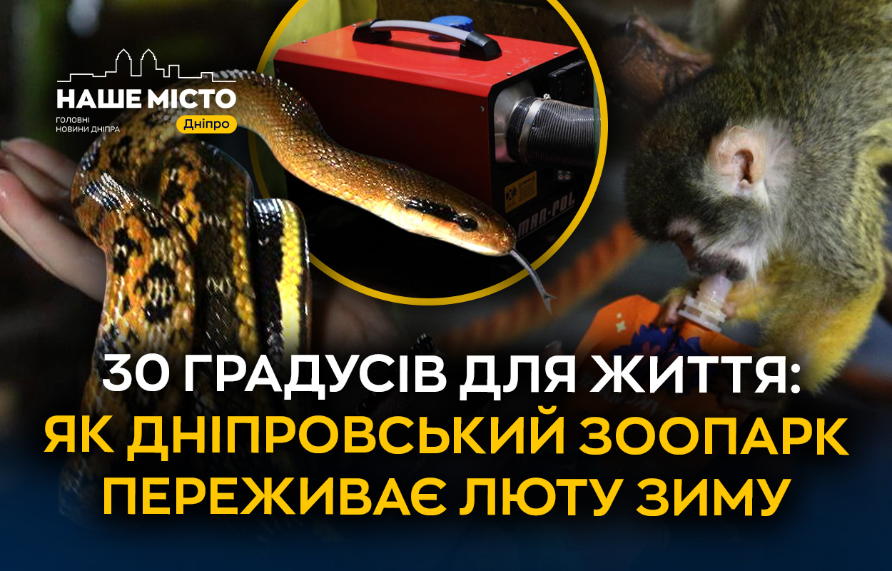 Дніпровський зоопарк у боротьбі з морозами та блекаутами