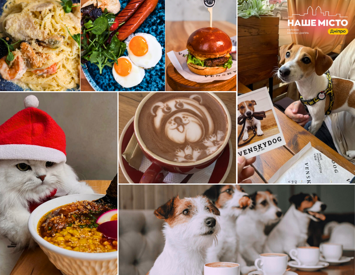 У Дніпрі є де відпочити з домашнім улюбленцем: перелік місць