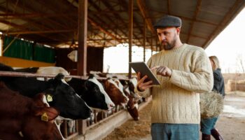 Нові правила ветеринарного контролю в Дніпрі з 2026 року