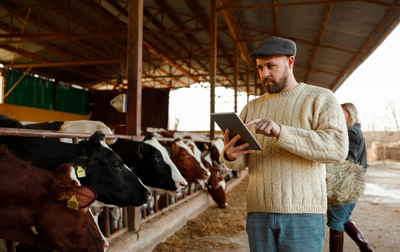 Нові правила ветеринарного контролю в Дніпрі з 2026 року