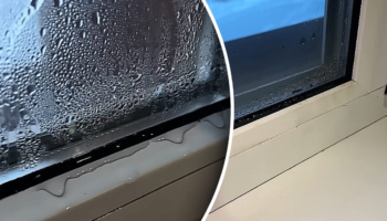 Без конденсату на вікнах: простий спосіб
