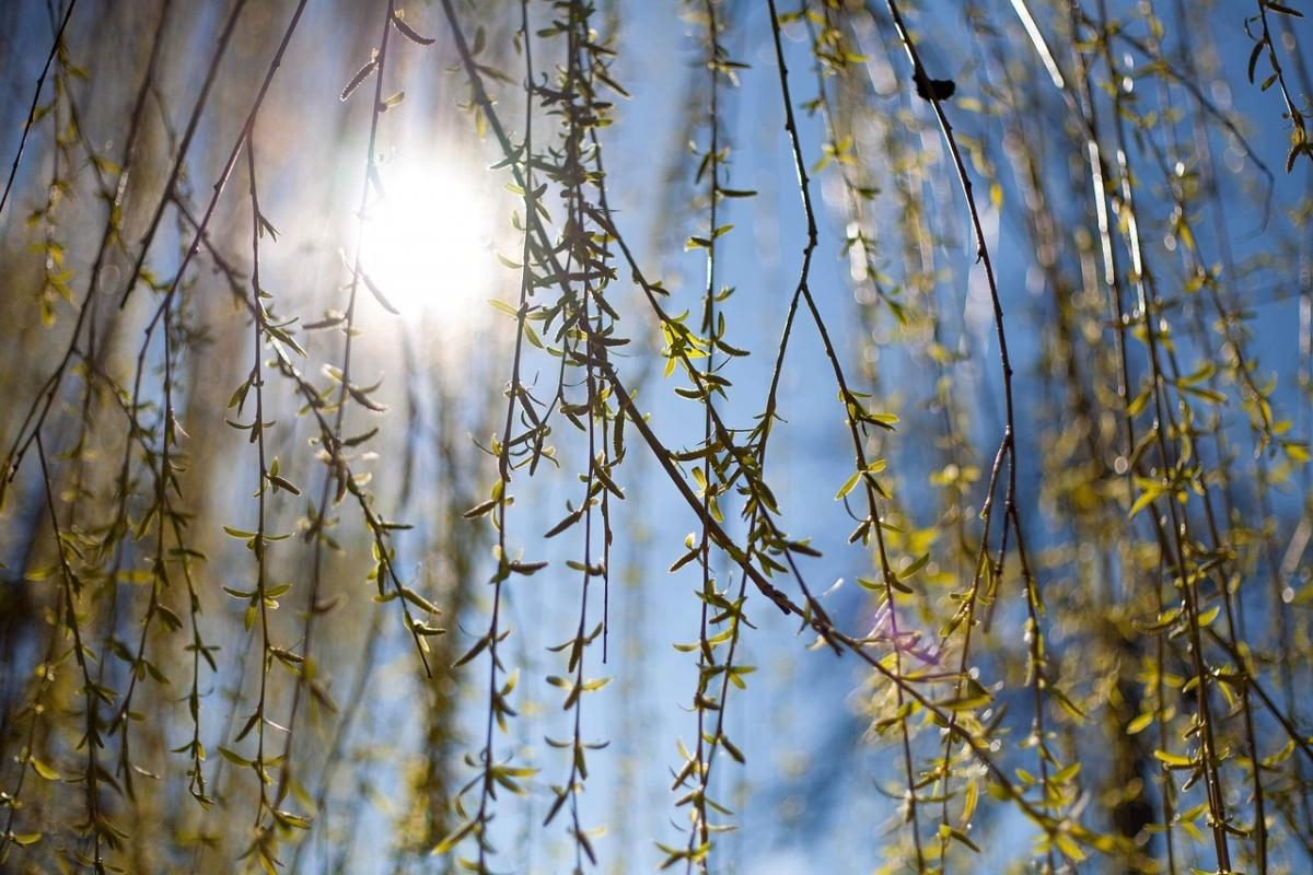 Весняне рівнодення 2026: коли настане день і ніч рівності