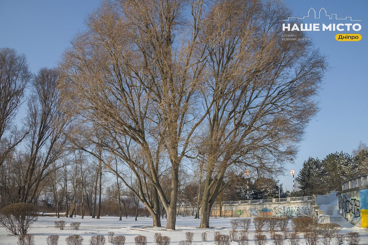 Морози в Україні: чого чекати 20 січня