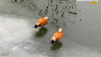 Традиції та прикмети: що не можна робити 19 січня